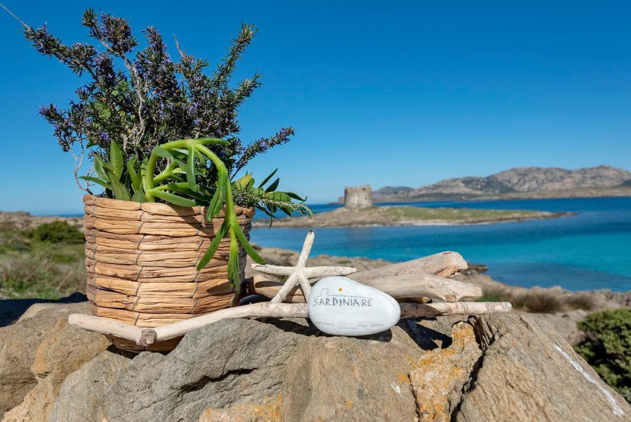 Sardinia Re - Villa Pelosa Stintino Bagian luar foto