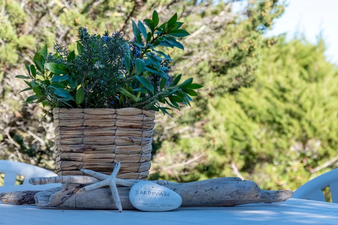 Sardinia Re - Villa Pelosa Stintino Bagian luar foto