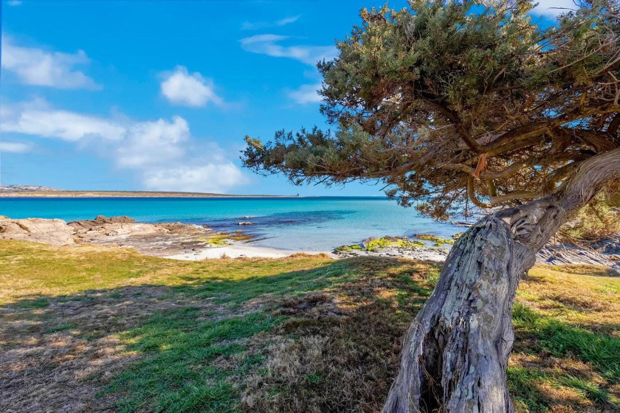 Sardinia Re - Villa Pelosa Stintino Bagian luar foto